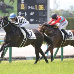 【大阪本紙・弘中の土曜小倉12Ｒ】