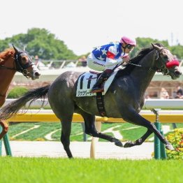 【大谷の日曜競馬コラム・ラジオＮＩＫＫＥＩ賞】