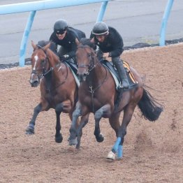 【橘の日曜競馬コラム・ラジオＮＩＫＫＥＩ賞】