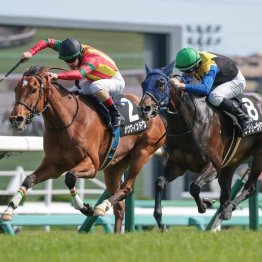 【東京本紙・外山の日曜福島９Ｒ】