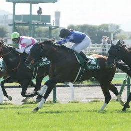 【函館記念】ファウストラーゼンが久々の重賞制覇　小林美はうれしい重賞初制覇