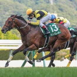 【ラジオＮＩＫＫＥＩ賞】１番人気サノノグレーターがレコードＶ