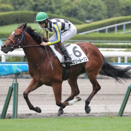 開幕福島でラジオＮＩＫＫＥＩ賞は28年ぶりのコースレコード