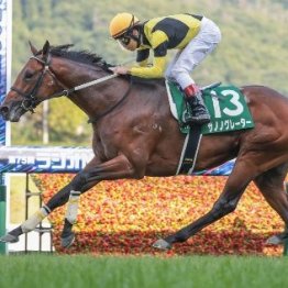 【ラジオＮＩＫＫＥＩ賞】サノノグレーターがレコードで快勝