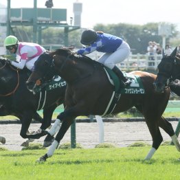 【函館記念】レース後の談話