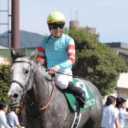 【北九州記念】連覇狙うヤマニンアルリフラ、３歳馬デアヴェローチェなどが激突