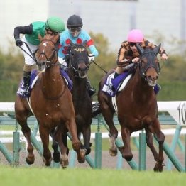 函館記念での長い長い審議に思うこと