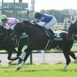 函館記念での長い長い審議に思うこと