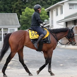 【北九州記念】ランフォーヴァウ好ムード