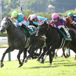 【北九州記念】梅雨前線の北上を味方に〝三度目の正直〟へと挑む８歳ヨシノイースター