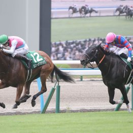 【北九州記念】梅雨前線の北上を味方に〝三度目の正直〟へと挑む８歳ヨシノイースター