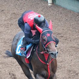 【北九州記念】フリッカージャブさすがの脚力