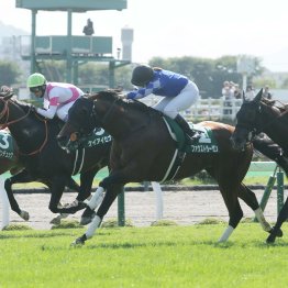 【北九州記念】ハンデを徹底検証　実績の割に恵まれた馬、そうでない馬は