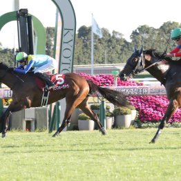 【北九州記念】ハンデを徹底検証　実績の割に恵まれた馬、そうでない馬は