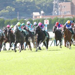 【北九州記念】データ作戦　前走①着馬の勢いに乗れ