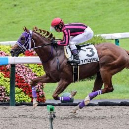 【飯島の土曜競馬コラム・ＴＵＦ杯】	