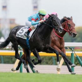 【新居の土曜競馬コラム・伊達特別】	