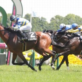 【橘の土曜競馬コラム・博多Ｓ】