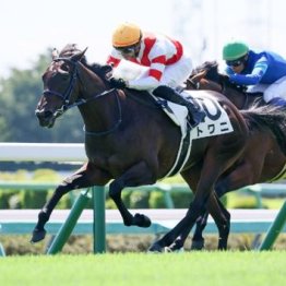 【東京本紙・外山の土曜福島12Ｒ】