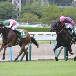 【注目重賞／データで買う・北九州記念】