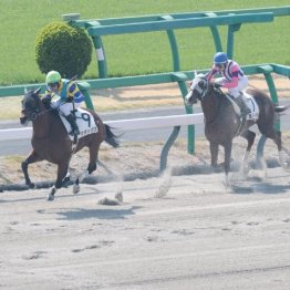【レスキュー隊の日曜競馬コラム・福島12Ｒ】	