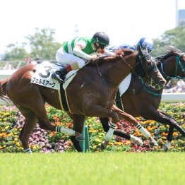 【東京本紙・外山の日曜福島９Ｒ】