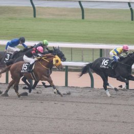 【東京本紙・外山の日曜福島11Ｒ】
