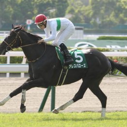 2018年北九州記念覇者アレスバローズ