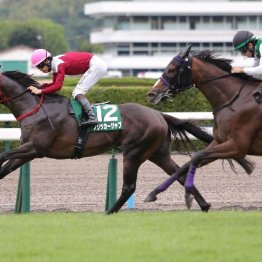 【北九州記念】１番人気フリッカージャブが着差以上の強さで重賞初制覇