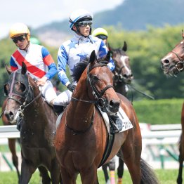 重賞制覇フリッカージャブは好相性カナロア系×サクラバクシンオー