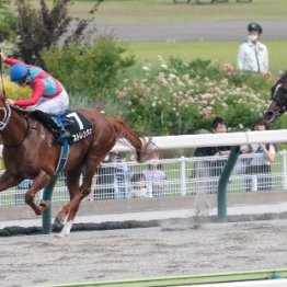 【ジュライＳ】ストレングス千七を克服