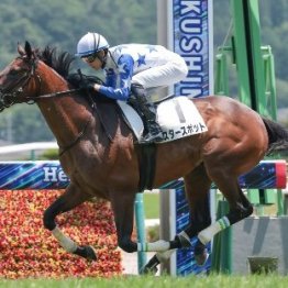 今年の２歳戦を例年以上に面白くするフライトライン、エフフォーリア