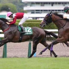 【北九州記念】フリッカージャブ上のステージで待ち構える課題
