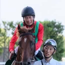【七夕賞】中山金杯勝ち馬カラマティアノスが人気もライバルたちは多士済々