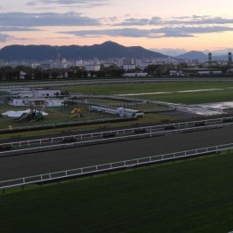 函館開催もあと２週　調教中で特に気を使うことは…