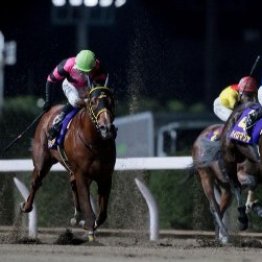 【スパーキングレディーＣ】３歳馬タマモフリージア反撃