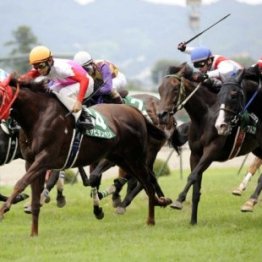 【七夕賞】前回は１９８６年　そろそろ〝七夕馬券〟が飛び出す！？