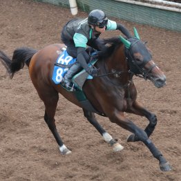 【七夕賞】サヴォーナ連勝ムード