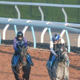 【七夕賞】カラマティアノス見た目以上の時計は好調の証し
