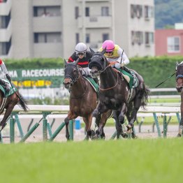 【七夕賞】データ作戦　①着は人気サイドで相手に伏兵を