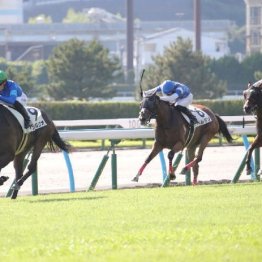 【藤岡の土曜競馬コラム・耶馬渓特別】