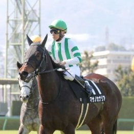【大谷の土曜競馬コラム・安達太良Ｓ】