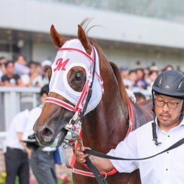 【橘の土曜競馬コラム・安達太良Ｓ】