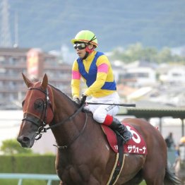 【市川の日曜競馬コラム・七夕賞】