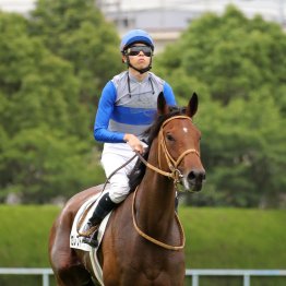 【レスキュー隊の日曜競馬コラム・小倉12Ｒ】