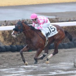 【レスキュー隊の日曜競馬コラム・福島12Ｒ】