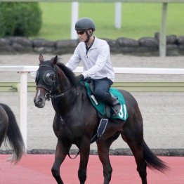 【日曜小倉５Ｒ】エルドボルグ　牡・斉藤崇史厩舎