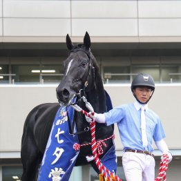 今年もロベルト内包馬が存在感を見せた七夕賞