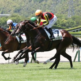 今年もロベルト内包馬が存在感を見せた七夕賞