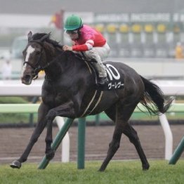 【巴賞】ヴーレヴー３馬身半差の完勝